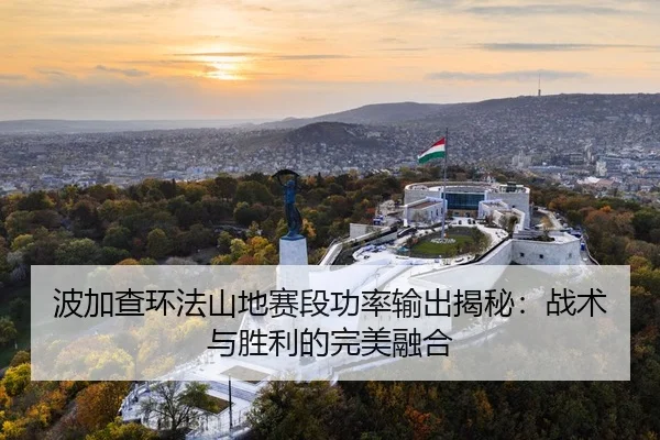 波加查环法山地赛段功率输出揭秘：战术与胜利的完美融合
