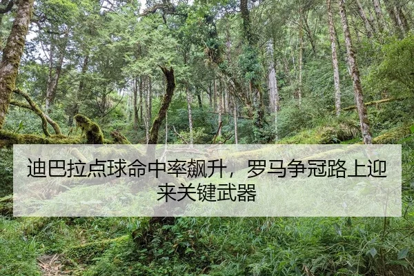 di-ba-la-dian-qiu-ming-zhong-lv-biao-sheng-luo-ma-zheng-guan-lu-shang-ying-lai-guan-jian-wu-qi-2-555.jpg